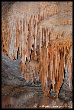 Пещеры Дженолан, Jenolan Caves, Голубые Горы, Blue Mountains, Новый Южный Уэльс, NSW, Австралия, Australia