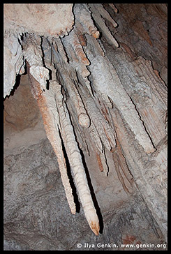 Пещеры Дженолан, Jenolan Caves, Голубые Горы, Blue Mountains, Новый Южный Уэльс, NSW, Австралия, Australia