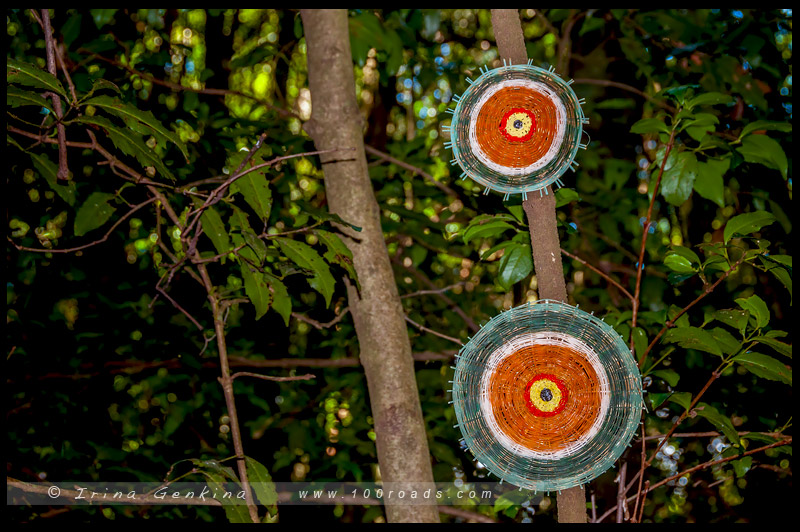 Скульптура в Живописном Мире, Sculpture at Scenic World, Катумба, Katoomba, Голубые Горы, Blue Mountains, Новый Южный Уэльс, NSW, Австралия, Australia