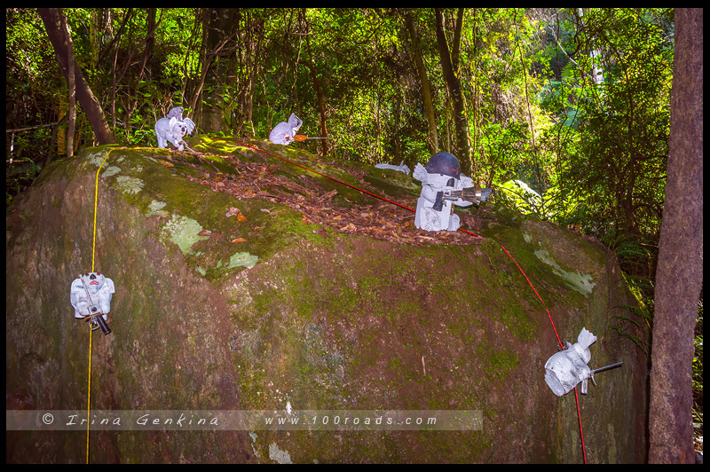 Скульптура в Живописном Мире, Sculpture at Scenic World, Катумба, Katoomba, Голубые Горы, Blue Mountains, Новый Южный Уэльс, NSW, Австралия, Australia