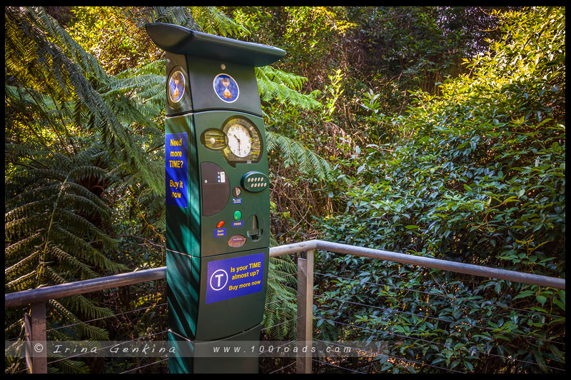 Скульптура в Живописном Мире, Sculpture at Scenic World, Катумба, Katoomba, Голубые Горы, Blue Mountains, Новый Южный Уэльс, NSW, Австралия, Australia