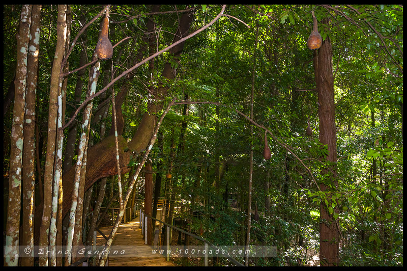 Скульптура в Живописном Мире, Sculpture at Scenic World, Катумба, Katoomba, Голубые Горы, Blue Mountains, Новый Южный Уэльс, NSW, Австралия, Australia