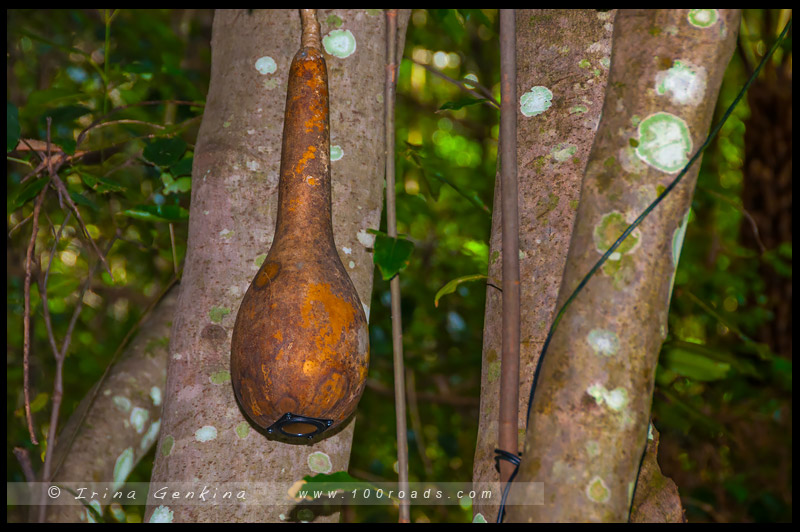 Скульптура в Живописном Мире, Sculpture at Scenic World, Катумба, Katoomba, Голубые Горы, Blue Mountains, Новый Южный Уэльс, NSW, Австралия, Australia