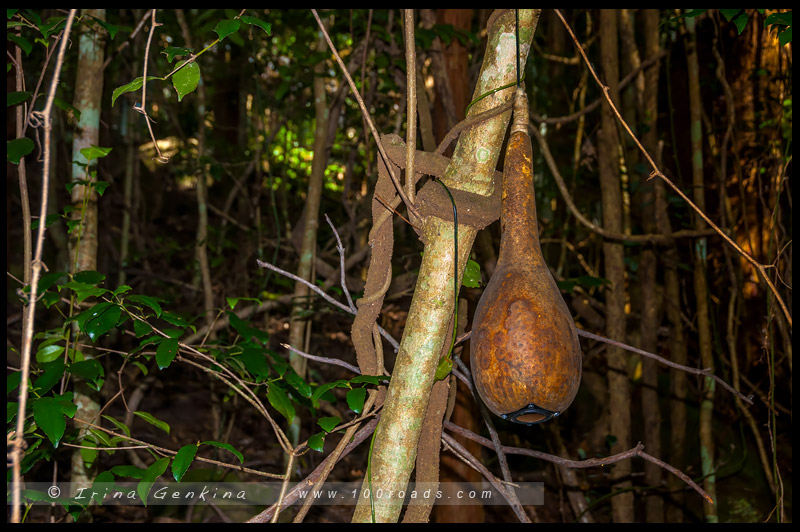 Скульптура в Живописном Мире, Sculpture at Scenic World, Катумба, Katoomba, Голубые Горы, Blue Mountains, Новый Южный Уэльс, NSW, Австралия, Australia