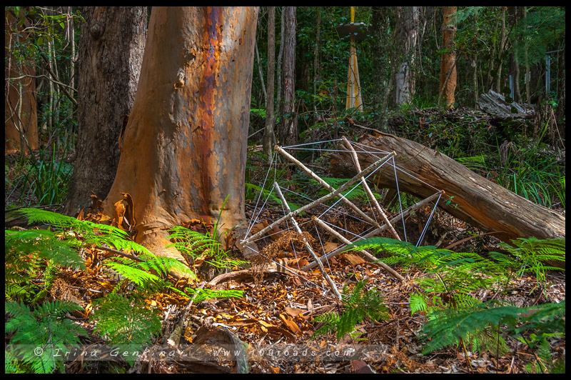 Скульптура в Живописном Мире, Sculpture at Scenic World, Катумба, Katoomba, Голубые Горы, Blue Mountains, Новый Южный Уэльс, NSW, Австралия, Australia