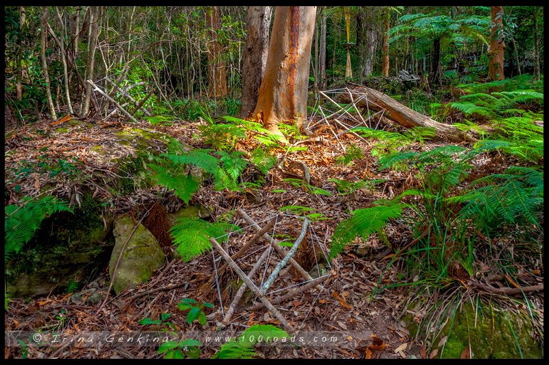 Скульптура в Живописном Мире, Sculpture at Scenic World, Катумба, Katoomba, Голубые Горы, Blue Mountains, Новый Южный Уэльс, NSW, Австралия, Australia