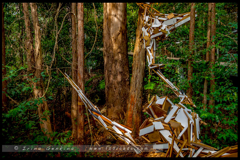 Скульптура в Живописном Мире, Sculpture at Scenic World, Катумба, Katoomba, Голубые Горы, Blue Mountains, Новый Южный Уэльс, NSW, Австралия, Australia