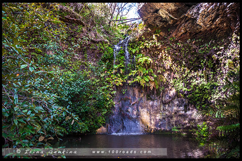 Сады Эверглейдс, Everglades Gardens, Леура, Льюра, Leura, Голубые Горы, Blue Mountains, Новый Южный Уэльс, NSW, Австралия, Australia