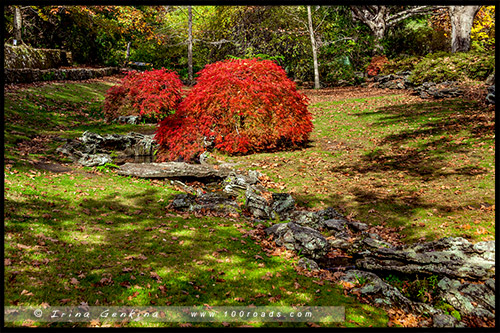 Сады Эверглейдс, Everglades Gardens, Леура, Льюра, Leura, Голубые Горы, Blue Mountains, Новый Южный Уэльс, NSW, Австралия, Australia