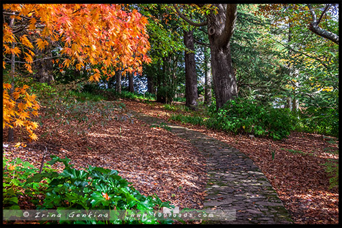 Сады Эверглейдс, Everglades Gardens, Леура, Льюра, Leura, Голубые Горы, Blue Mountains, Новый Южный Уэльс, NSW, Австралия, Australia