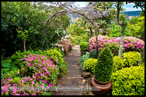 Абботсфорд, Abbotsford, Фестиваль Садов в Леуре, Leura Gardens Festival, Леура, Льюра, Leura, Голубые Горы, Blue Mountains, Новый Южный Уэльс, NSW, Австралия, Australia