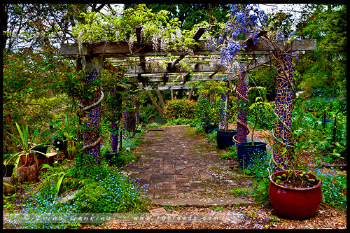 Дом в тупике, Dead End House, Фестиваль Садов в Леуре, Leura Gardens Festival, Леура, Льюра, Leura, Голубые Горы, Blue Mountains, Новый Южный Уэльс, NSW, Австралия, Australia