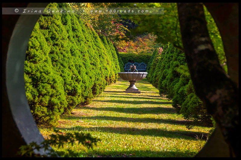 Сад Бисли, Bisley Garden, Гора Вилсон, Mount Wilson, Голубые Горы, Blue Mountains, Новый Южный Уэльс, NSW, Австралия, Australia