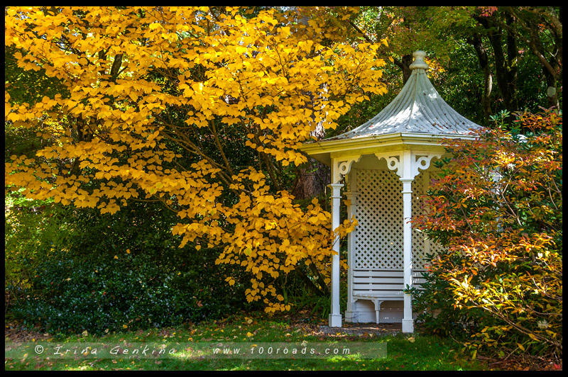 Сад Нуру, Nooroo Garden, Гора Вилсон, Mount Wilson, Голубые Горы, Blue Mountains, Новый Южный Уэльс, NSW, Австралия, Australia