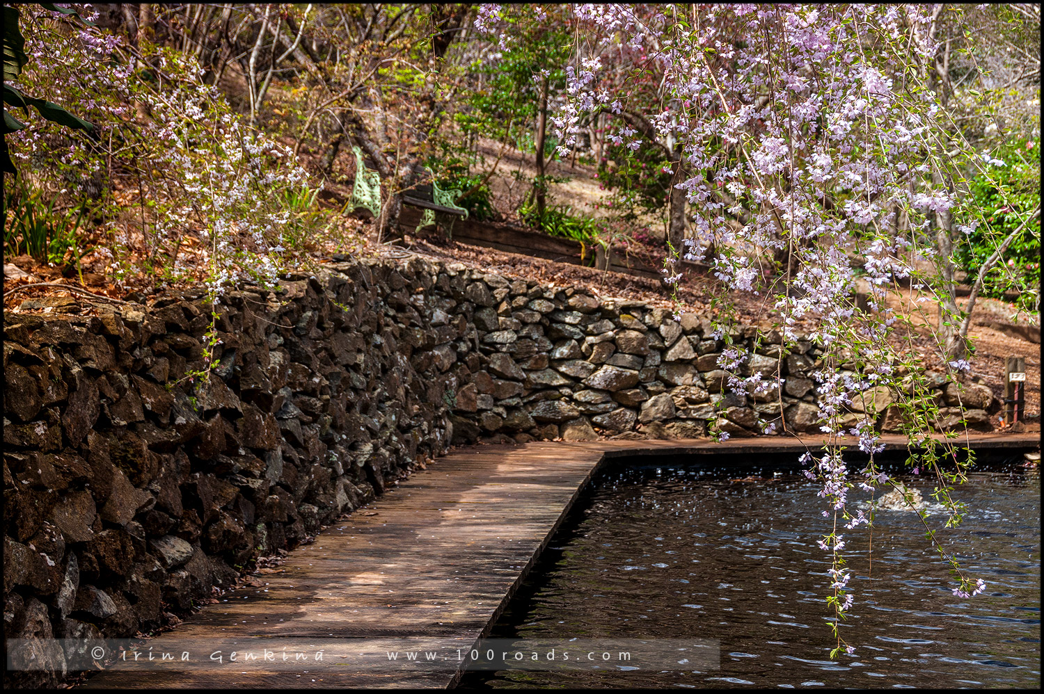 Сефтон Коттаж, Sefton Cottage, Гора Вилсон, Mount Wilson, Голубые Горы, Blue Mountains, Новый Южный Уэльс, NSW, Австралия, Australia