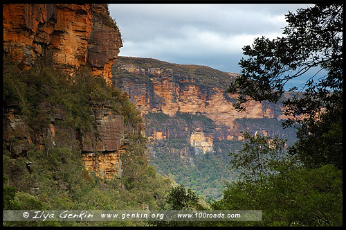 <Долина Вод, The Valley of the Waters, Водопады Вентворт, Вентворт Фолс, Wentworth Falls, Голубые Горы, Blue Mountains, Новый Южный Уэльс, NSW, Австралия, Australia