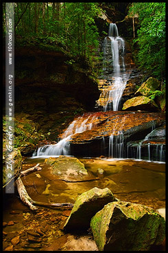 <Водопад Императрица, Empress Falls, Долина Вод, The Valley of the Waters, Водопады Вентворт, Вентворт Фолс, Wentworth Falls, Голубые Горы, Blue Mountains, Новый Южный Уэльс, NSW, Австралия, Australia