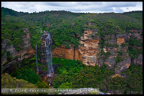 <Водопад Вентворт, Вентворт Фолс, Wentworth Falls, Голубые Горы, Blue Mountains, Новый Южный Уэльс, NSW, Австралия, Australia