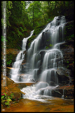 <Водопад Сильвия, Sylvia Falls, Долина Вод, The Valley of the Waters, Водопады Вентворт, Вентворт Фолс, Wentworth Falls, Голубые Горы, Blue Mountains, Новый Южный Уэльс, NSW, Австралия, Australia