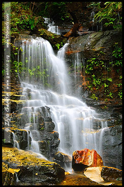 <Водопад Лодор, Lodore Falls, Долина Вод, The Valley of the Waters, Водопады Вентворт, Вентворт Фолс, Wentworth Falls, Голубые Горы, Blue Mountains, Новый Южный Уэльс, NSW, Австралия, Australia