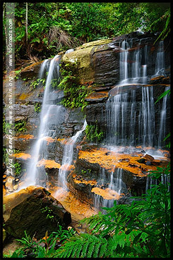 <Водопад Плоская скала, Flat Rock Falls, Долина Вод, The Valley of the Waters, Водопады Вентворт, Вентворт Фолс, Wentworth Falls, Голубые Горы, Blue Mountains, Новый Южный Уэльс, NSW, Австралия, Australia