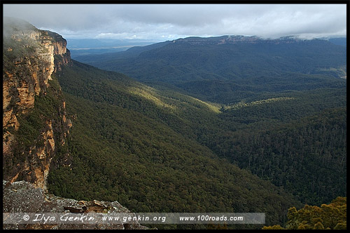 <Долина Вод, The Valley of the Waters, Водопады Вентворт, Вентворт Фолс, Wentworth Falls, Голубые Горы, Blue Mountains, Новый Южный Уэльс, NSW, Австралия, Australia