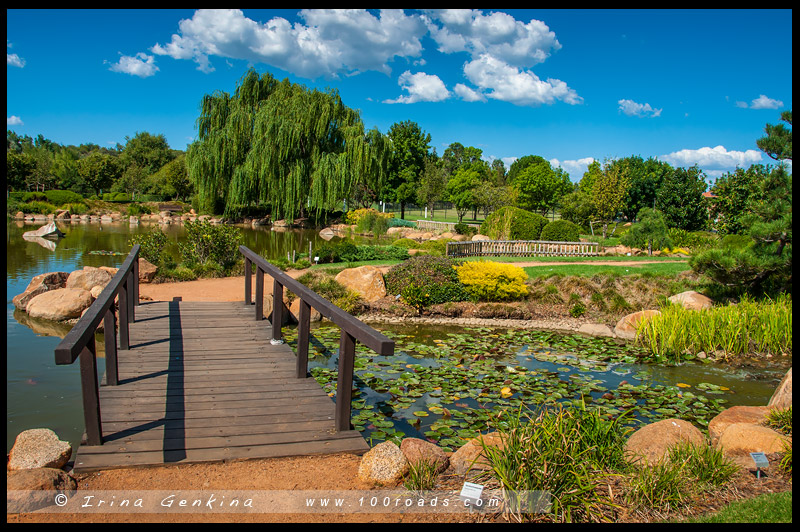 Японский сад Shoyoen, Japanese Garden Shoyoen, Достопримечательности, Sights, Даббо, Dubbo, Новый Южный Уэльс, New South Wales, Австралия, Australia