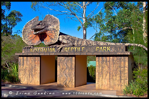 Австралийский Парк Рептилий, Australian Reptile Park, Сомерсби, Somersby, Госфорд, Gosford, Новый Южный Уэльс, NSW, Австралия, Australia