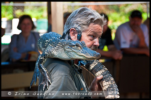 Австралийский Парк Рептилий (Australian Reptile Park) - Поездки на выходные