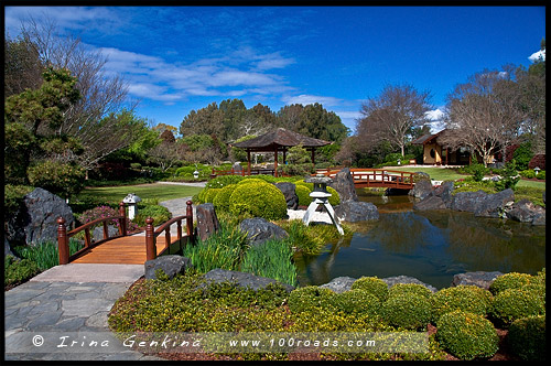 Эдогавский Памятный Сад, Edogawa Commemorative Garden, Госфорд, Gosford, Новый Южный Уэльс, NSW, Австралия, Australia