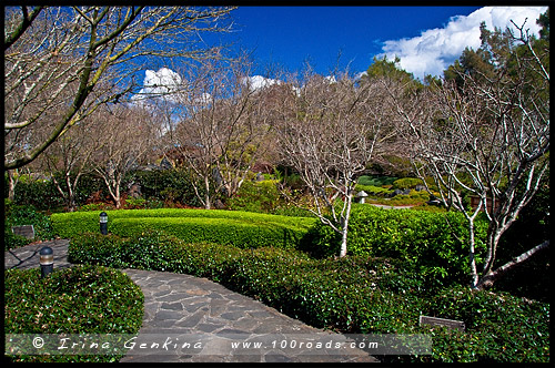 Эдогавский Памятный Сад, Edogawa Commemorative Garden, Госфорд, Gosford, Новый Южный Уэльс, NSW, Австралия, Australia