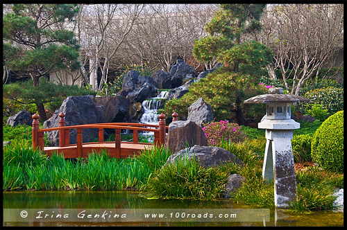 Эдогавский Памятный Сад, Edogawa Commemorative Garden, Госфорд, Gosford, Новый Южный Уэльс, NSW, Австралия, Australia