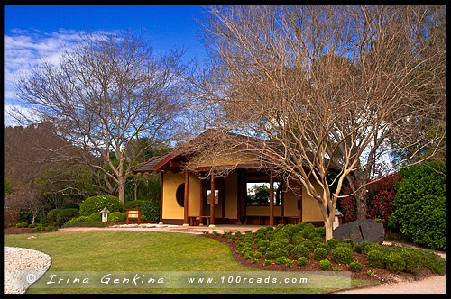 Эдогавский Памятный Сад, Edogawa Commemorative Garden, Госфорд, Gosford, Новый Южный Уэльс, NSW, Австралия, Australia