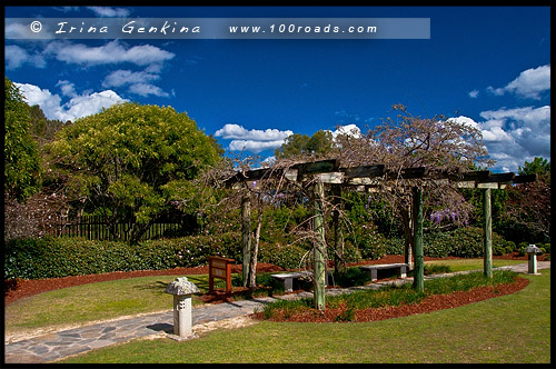 Эдогавский Памятный Сад, Edogawa Commemorative Garden, Госфорд, Gosford, Новый Южный Уэльс, NSW, Австралия, Australia