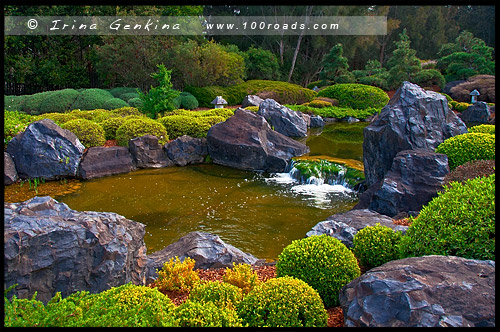 Эдогавский Памятный Сад, Edogawa Commemorative Garden, Госфорд, Gosford, Новый Южный Уэльс, NSW, Австралия, Australia