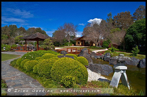 Чайная церемония, Tea ceremony, Японский сад, Japanese Garden, Эдогавский Памятный Сад, Edogawa Commemorative Garden, Госфорд, Gosford, Новый Южный Уэльс, NSW, Австралия, Australia