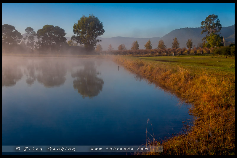 Долина Хантер, Hunter Valley, Новый Южный Уэльс, NSW, Австралия, Australia