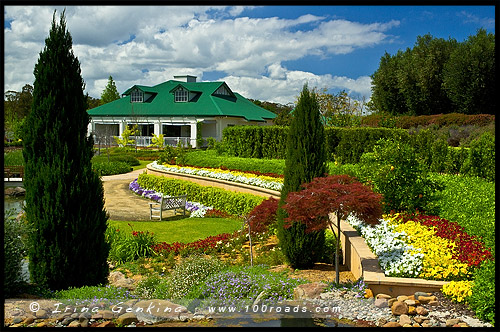 Сады Долины Хантер, Hunter Valley Gardens, Долина Хантер, Hunter Valley, Новый Южный Уэльс, NSW, Австралия, Australia