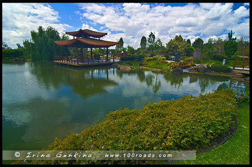 Сады Долины Хантер, Hunter Valley Gardens, Долина Хантер, Hunter Valley, Новый Южный Уэльс, NSW, Австралия, Australia