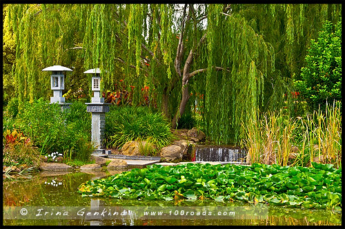 Сады Долины Хантер, Hunter Valley Gardens, Долина Хантер, Hunter Valley, Новый Южный Уэльс, NSW, Австралия, Australia