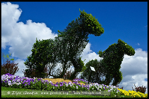 Сады Долины Хантер, Hunter Valley Gardens, Долина Хантер, Hunter Valley, Новый Южный Уэльс, NSW, Австралия, Australia