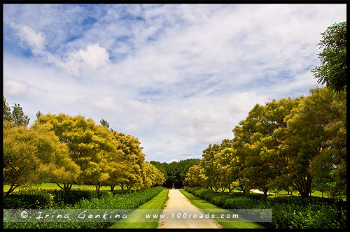 Сады Долины Хантер, Hunter Valley Gardens, Долина Хантер, Hunter Valley, Новый Южный Уэльс, NSW, Австралия, Australia