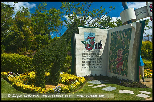 Сады Долины Хантер, Hunter Valley Gardens, Долина Хантер, Hunter Valley, Новый Южный Уэльс, NSW, Австралия, Australia