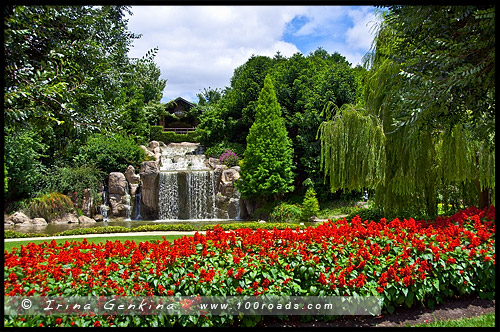 Сады Долины Хантер, Hunter Valley Gardens, Долина Хантер, Hunter Valley, Новый Южный Уэльс, NSW, Австралия, Australia