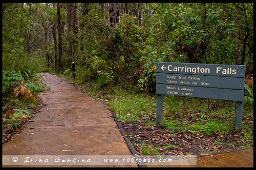 <Водопад Каррингтон, Каррингтон Фолс, Carrington Falls, Национальный парк Баддеру, Budderoo National Park, Новый Южный Уэльс, NSW, Австралия, Australia