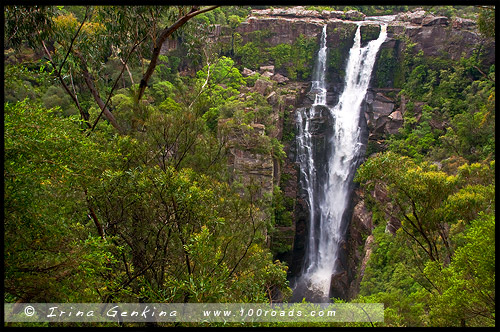 <Водопад Каррингтон, Каррингтон Фолс, Carrington Falls, Национальный парк Баддеру, Budderoo National Park, Новый Южный Уэльс, NSW, Австралия, Australia