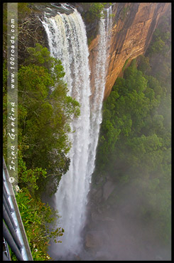 <Водопад Фицрой, Fitzroy Falls, Национальный парк Мортон, Morton National Park, Новый Южный Уэльс, NSW, Австралия, Australia