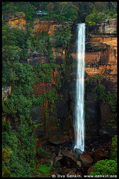 <Водопад Фицрой, Fitzroy Falls, Национальный парк Мортон, Morton National Park, Новый Южный Уэльс, NSW, Австралия, Australia