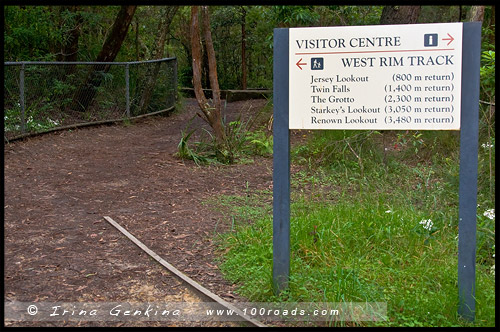 <Водопад Фицрой, Fitzroy Falls, Национальный парк Мортон, Morton National Park, Новый Южный Уэльс, NSW, Австралия, Australia