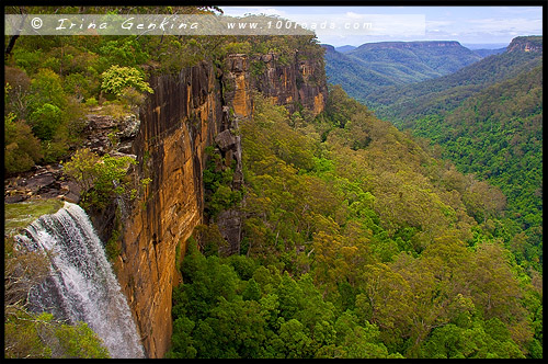 Водопад Фицрой, Fitzroy Falls, Долина Ярранга, Yarrunga Valley, Национальный парк Мортон, Morton National Park, Новый Южный Уэльс, NSW, Австралия, Australia